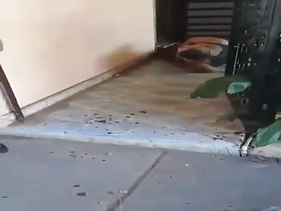 2 man victim of shots in street 