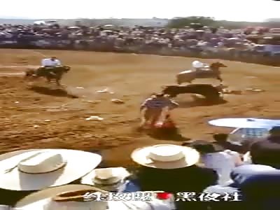 Man attacked by bull