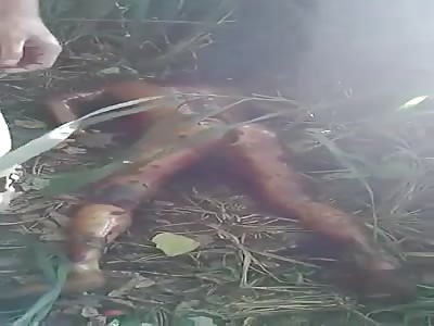 Naked man victim of murdered 