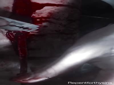 I just wanted more skin