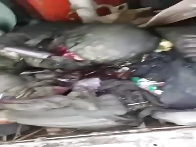 Just Another Day in Ukraine