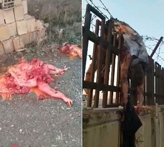 Horrific Aftermath of January 9th Ukrainian Plane Crash