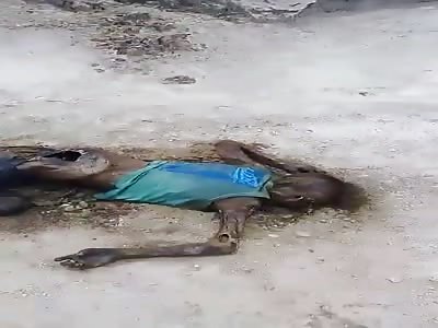 Man Eaten by Hungry Vultures