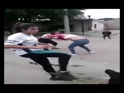 Bitches gang members fight for drugs