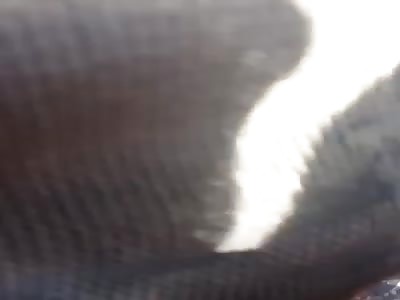 Man shot in his car. 