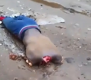  Aftermath of Prison Riot in Brazil