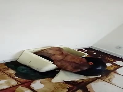 Death body found on the home 