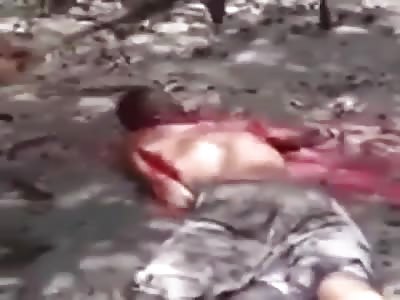 Creed of Chaos Compilation