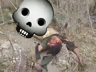 Dead man in a cattle pasture.