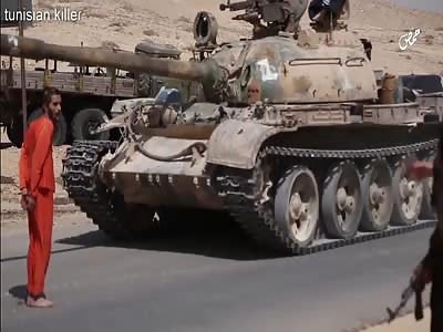 Death 'n' shit compilation 7