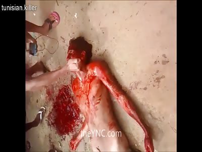 Death 'n' Shit Compilation 17