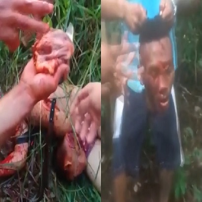 THIS WEEK IN BRUTALITY #2