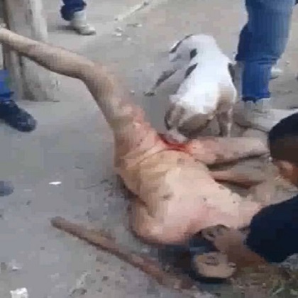 Gore Compilation Mix.