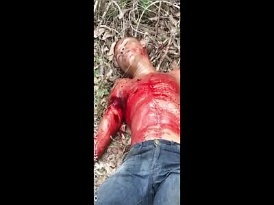 Compilation of Human Violence...