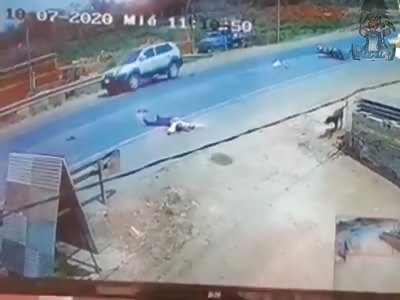 Dog causes fatal accident.