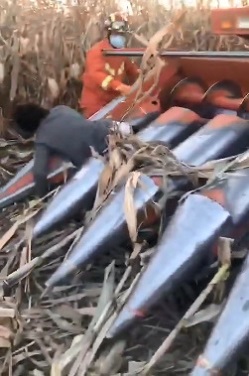 Homeless Man Killed by Corn Harvester