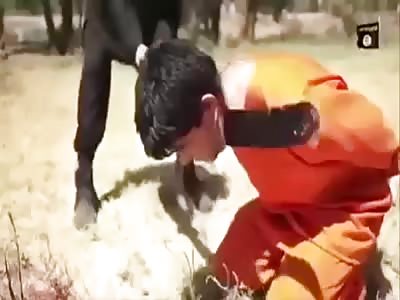 Tribute to those who have died for our entertainment