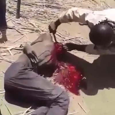 Allegedly Terrorist Beheaded by Nigerian Soldiers