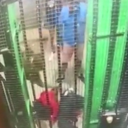 Woman Stabbed Over 70 Times In Brutal Murder In Chile (Full Video) 