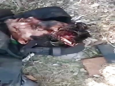 Bodies of hitmen killed in clashes in Sinaloa Mexico 