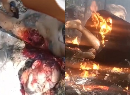 When the Cartel Really Wants You to Suffer...