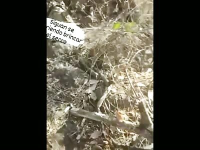 The bodies of some dead hitmen 