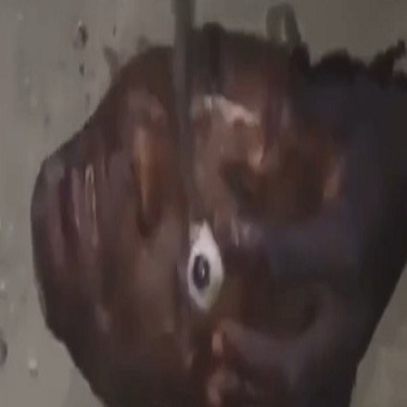 It's Time For His Eye Exam