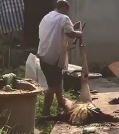 Old Man Hacked to Death in Broad Daylight