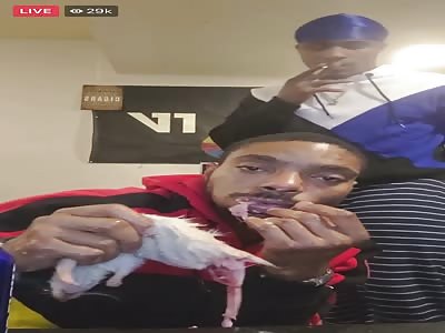 Guy eats dead rat on fb live (no killing shown).