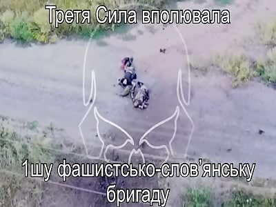 Destruction of the invaders