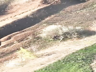 Orcs have no options when a grenade flies on their heads