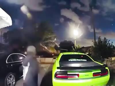 Florida Woman Shoots Wildly At Dog Thieves