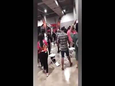 Brawl breaks out at Miami dog show