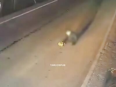 Bad place for fireworks & Blind driver