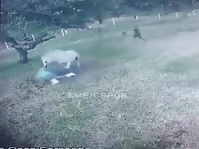 Stay away from the horse