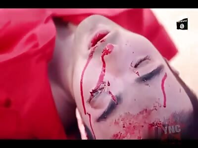 A compilation of theYNC's most popular videos