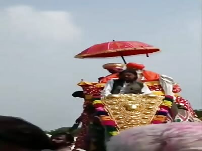 Electric current killed 