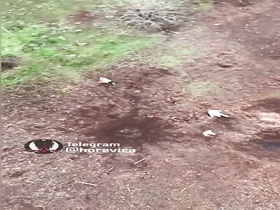 LoL: Ukrainian drone pursues Russian soldiers trying to escape