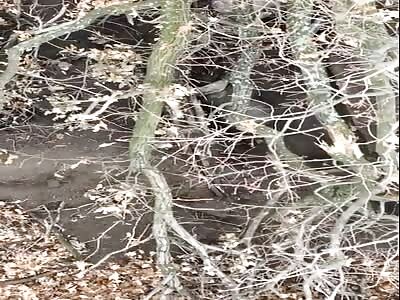 Grenade falls into the position of a RF soldier in a trench