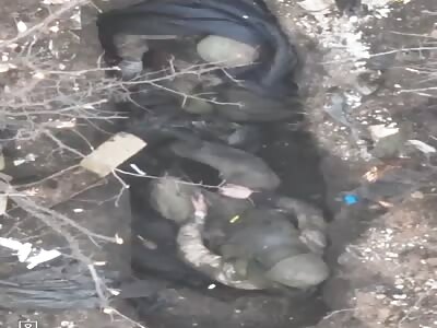 Very Up Close View of 2 Sleeping Russians Being Hit by a Hand Grenade.