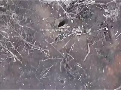 Drone trops grenade precisely 