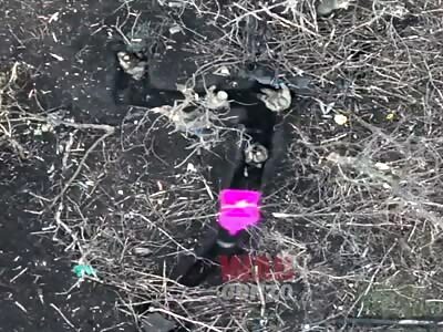 Horribly aimed bomb drops near AFU in trench