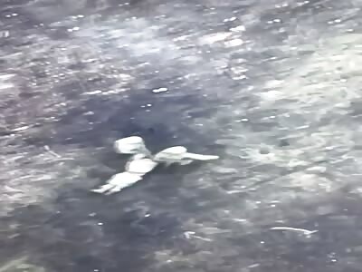 Ukrainian drone watches 2 Russian soldiers