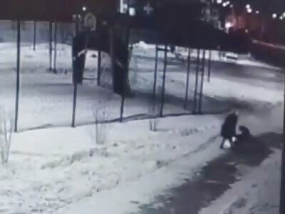 in Yekaterinburg, a woman was attacked by a pack of dogs