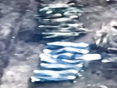 The Ukrainian way of making the aggressors better 