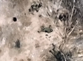 Ukrainian drone dropping grenades on Russian infantry