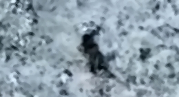 A creeping RU soldier is hit by a grenade