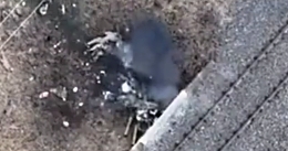 Ukrainian drone hunting down Russian troops