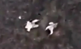 Grenade drop on two Russian soldiers