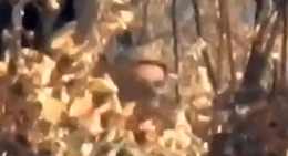 Russian sniper hits Ukrainian soldier